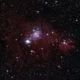 Cone and Christmas Tree Nebulae, NGC2264